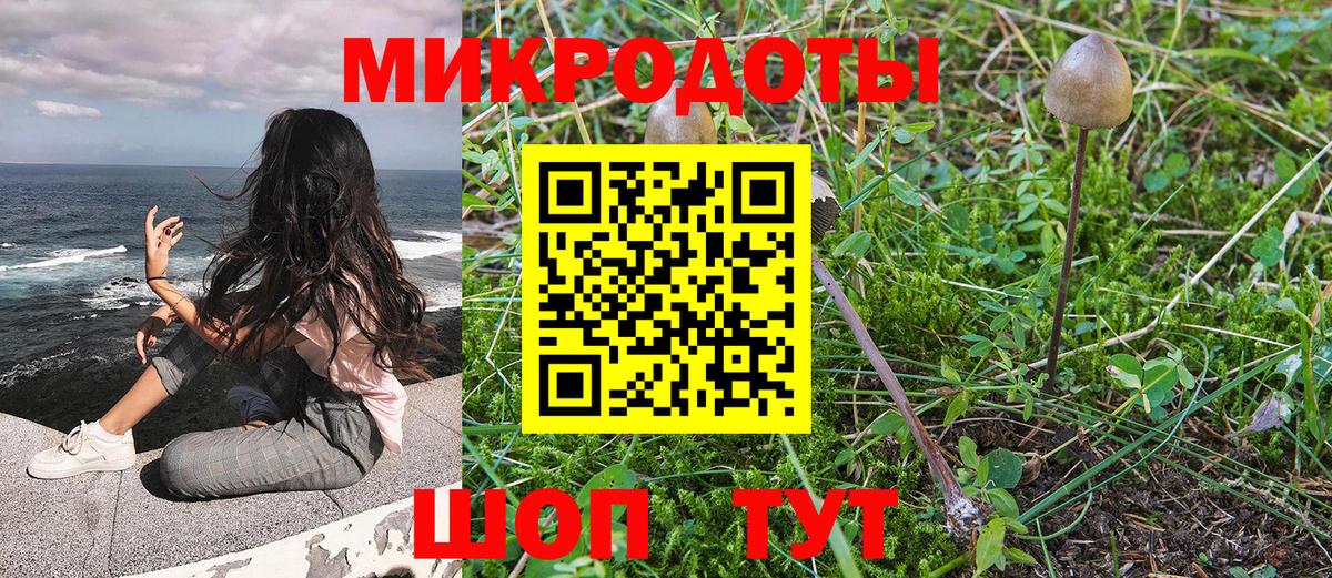 Псилоцибиновые грибы прущие грибы Красноуфимск